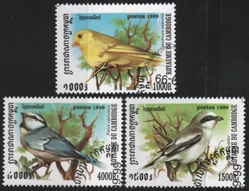 3Pcs/Set Kambodža Post Znamk 1999 Majhne Ptice Uporabljajo po Označeni Poštnih Znamk za Zbiranje
